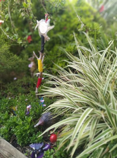 plants in the garden